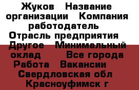 Жуков › Название организации ­ Компания-работодатель › Отрасль предприятия ­ Другое › Минимальный оклад ­ 1 - Все города Работа » Вакансии   . Свердловская обл.,Красноуфимск г.